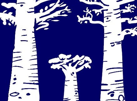 Conservation and Preservation - small and large trees growing