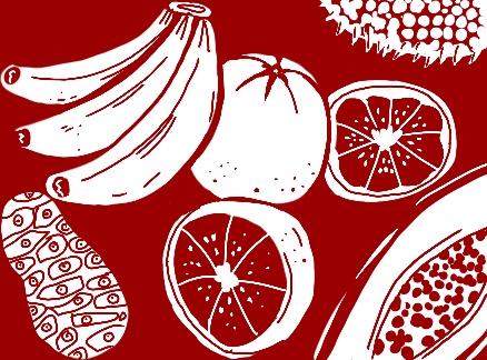 Graphic of Food