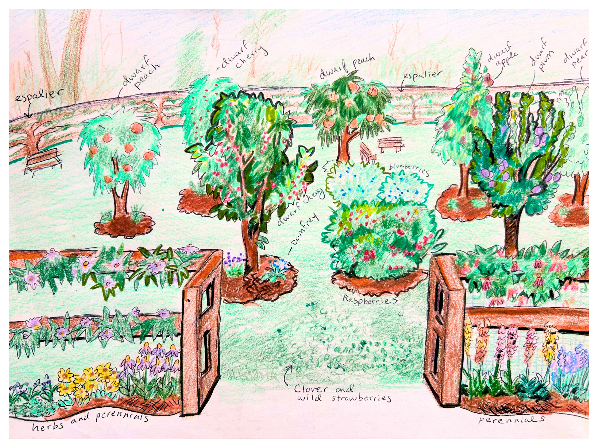 Rendering of UR Orchard and Food Forest